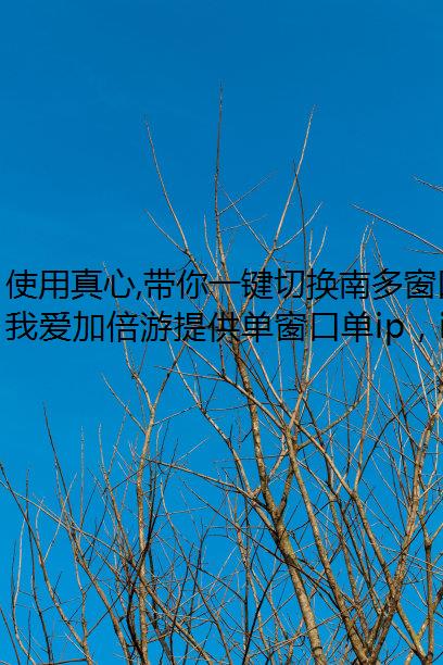 ʹ,һл϶രڵipľ̬IP