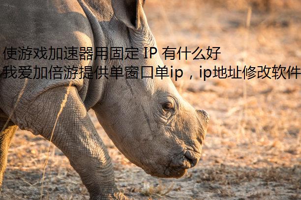 ʹϷù̶ IP ʲôô?ο?