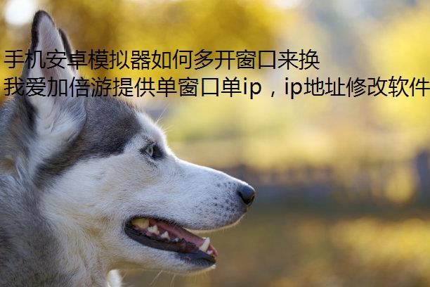 ֻ׿ģζ࿪IP֤Ϸ