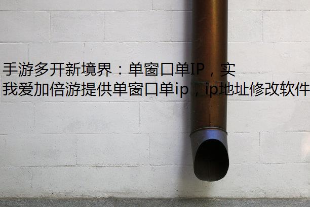 ζ࿪¾磺ڵIPʵսȫ