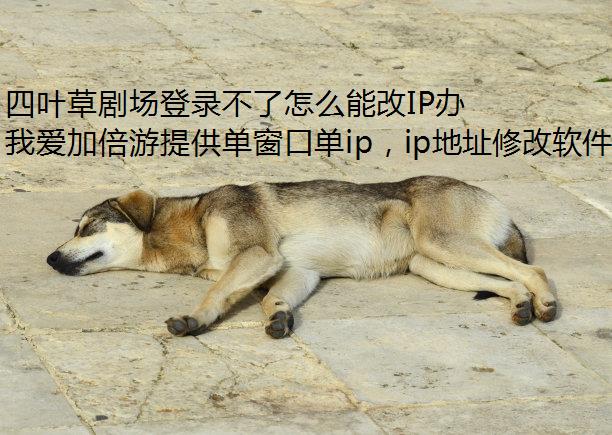 Ҷݾ糡¼ôܸIP?