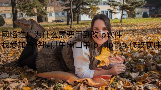 ƹΪʲôҪõip
