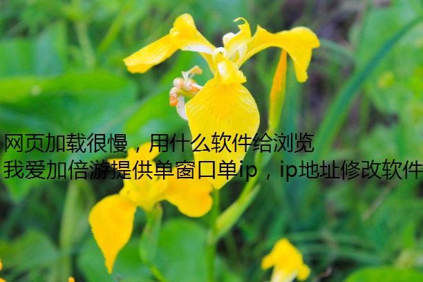 ҳغʲô٣