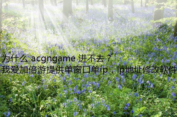 Ϊʲô acgngame ȥ