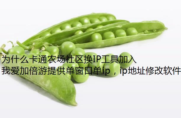 ΪʲôͨũIP߼벻?