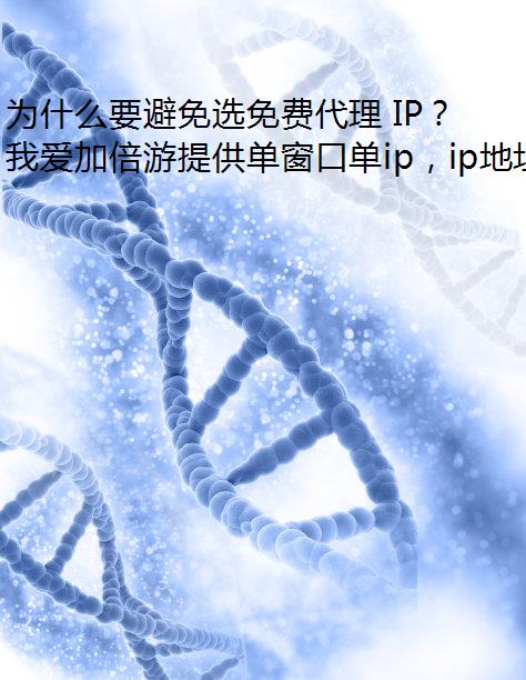ΪʲôҪѡѴ IP