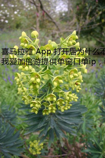 ϲ App 򿪺ΪʲôʾͼƬ