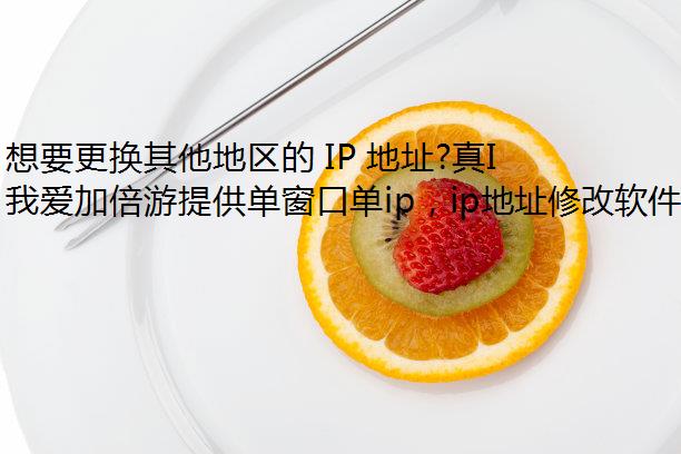 想要更换其他地区的 IP 地址?真IP切换软件心带你体验