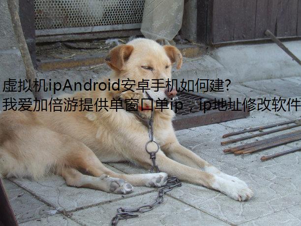 ipAndroid׿ֻν̬IPﵽ뻻IPЧ