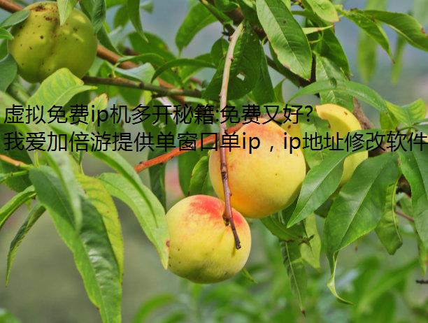 ip࿪ؼ:ֺõļӱϷשIPַ̳