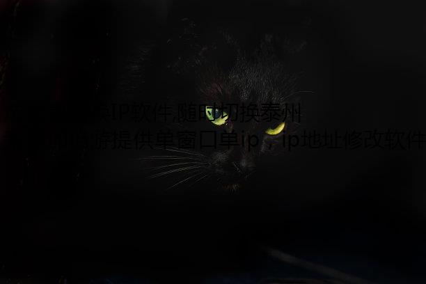 ѡĻIP,ʱл̩ IP ַ!