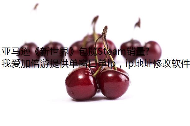 ѷ硷SteamǾĴ˽վMMORPG