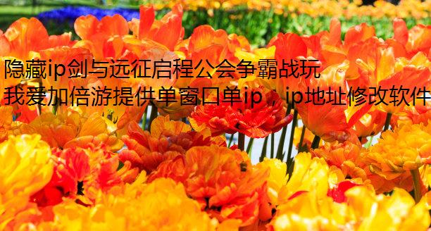 ipԶ̹ս淨ָ