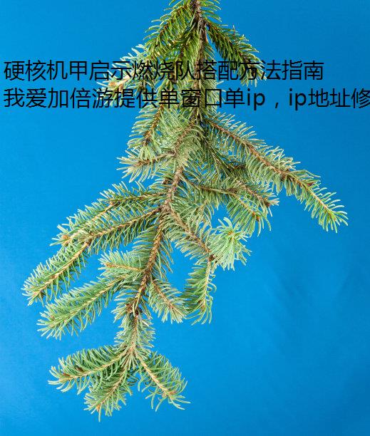 Ӳ˻ʾȼնӴ䷽ָ׵ģ޸IP