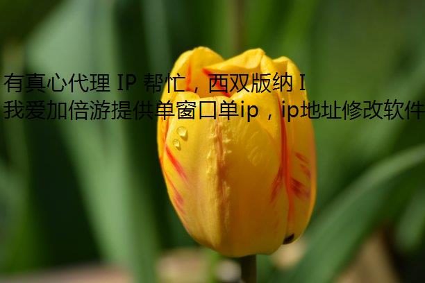 Ĵ IP æ˫ IP Ҳл