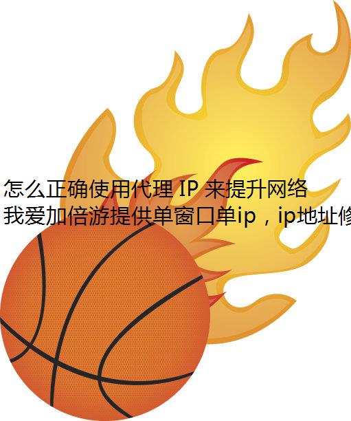 ôȷʹô IP 飿