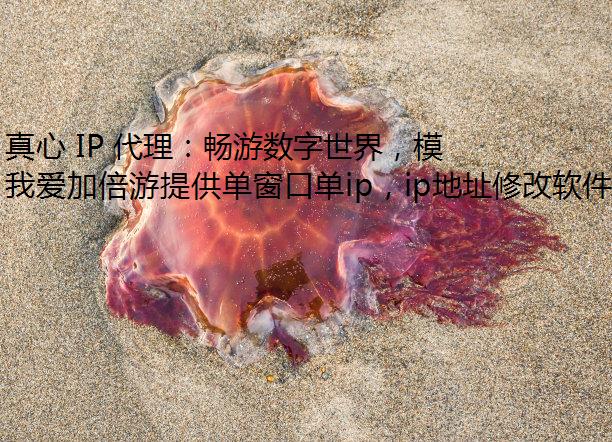  IP 磬ģ޸IPȫ