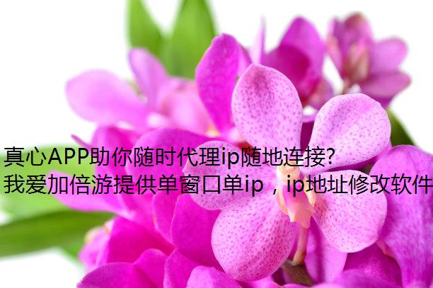 APPʱipӶ