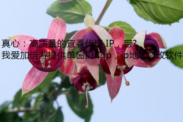 ģ˴ IPɻȡ˴ IP