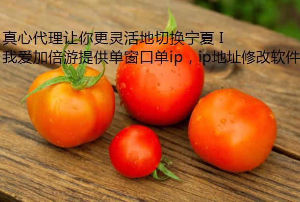Ĵл IP ַ