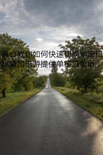 ĽοлڵIP̨̬ip