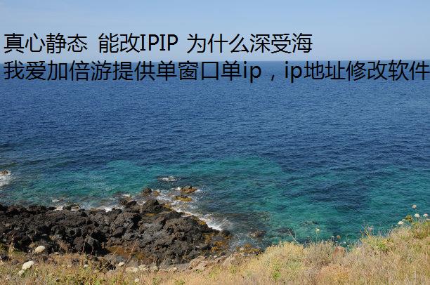 真心静态 能改IPIP 为什么深受海外用户喜爱?