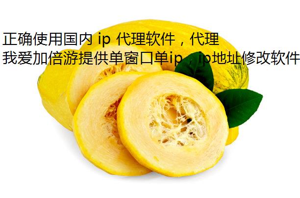 ȷʹù ip ָ