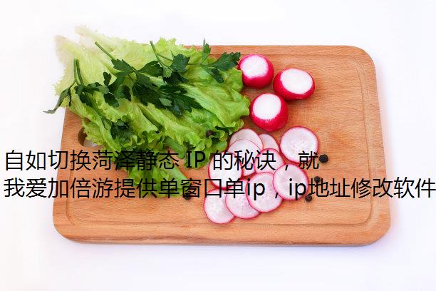 л̬ IP ؾʹģ